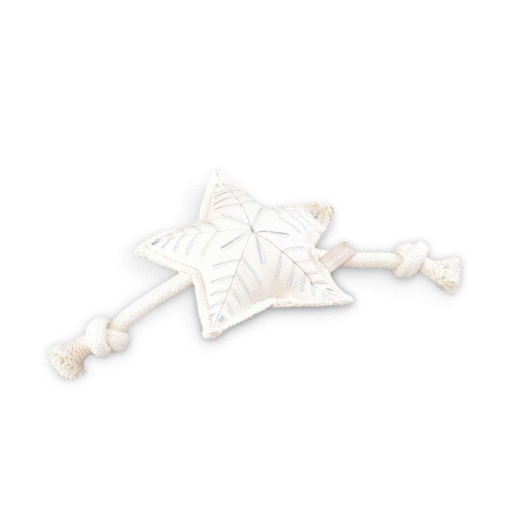 HOLIDAY STAR | CHRISTMAS DOG TOY