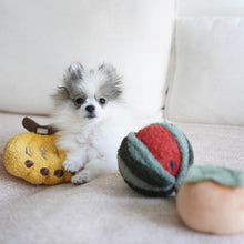 Load image into Gallery viewer, WATERMELON POP// ENRICHMENT TOY SET// SNUFFLE TOY
