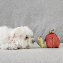 Load image into Gallery viewer, APPLE/ ENRICHMENT TOY SET// SNUFFLE TOY
