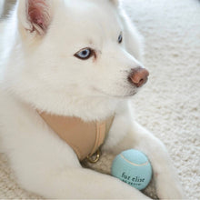 Load image into Gallery viewer, So Fetch! Tennis Ball - Cloud
