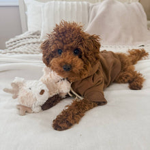 Load image into Gallery viewer, Koko Mini Plushie
