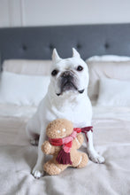 Load image into Gallery viewer, MISTER GINGERBREAD// Holiday Toy// Enrichment Dog Toy
