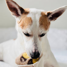 Load image into Gallery viewer, CREPE // ENRICHMENT DOG TOY

