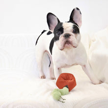 Load image into Gallery viewer, APPLE/ ENRICHMENT TOY SET// SNUFFLE TOY
