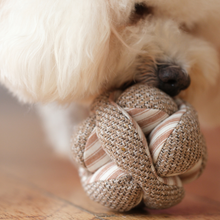 Load image into Gallery viewer, MINI MONTI //Enrichment Toy
