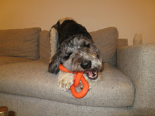 Load image into Gallery viewer, Chain Link Rope Toy
