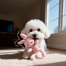 Load image into Gallery viewer, Squeaky Rope Buddies| Sustainable | Handcrafted | Dog Toys
