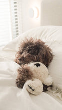 Load image into Gallery viewer, Koko Maxi Plushie
