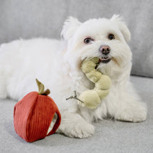 Load image into Gallery viewer, APPLE/ ENRICHMENT TOY SET// SNUFFLE TOY
