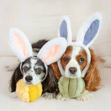 Load image into Gallery viewer, TOTO // ENRICHMENT DOG TOY // Silent // Snuffle Smaller Ball
