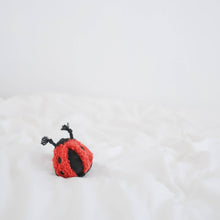 Load image into Gallery viewer, LADYBUG POP // ENRICHMENT TOY // SNUFFLE TOY
