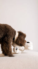 Load image into Gallery viewer, Koko Maxi Plushie
