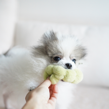 Load image into Gallery viewer, APPLE/ ENRICHMENT TOY SET// SNUFFLE TOY
