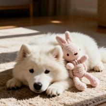 Load image into Gallery viewer, Squeaky Rope Buddies| Sustainable | Handcrafted | Dog Toys
