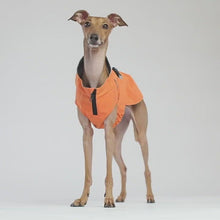 Load and play video in Gallery viewer, The Expedition Raincoat - Orange
