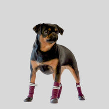 Load and play video in Gallery viewer, Secure Sock Boots by Canada Pooch
