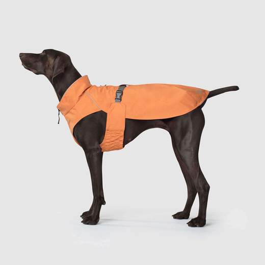 The Expedition Raincoat - Orange