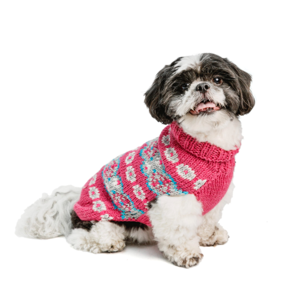 Chilly Dog Sweaters – Alpaca Rose Fairisle