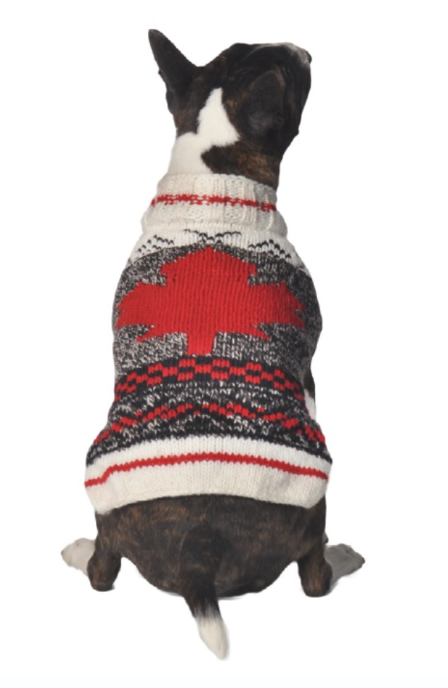 Chilly Dog Sweaters – Camp Maple Leaf