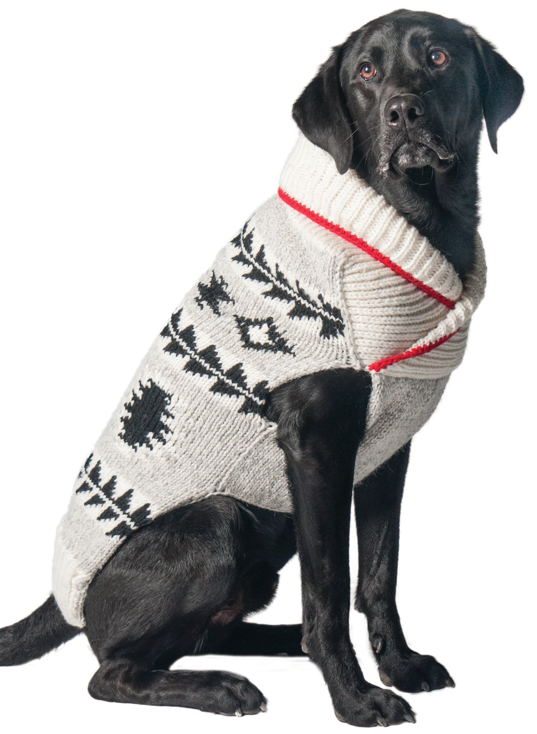Chilly Dog Sweaters – Jackson