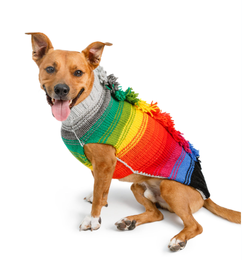 Chilly Dog Sweaters – Rainbow Mohawk
