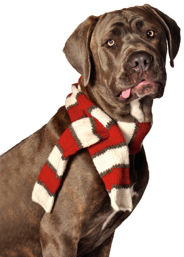 Chilly Dog Sweaters - Red Stripe