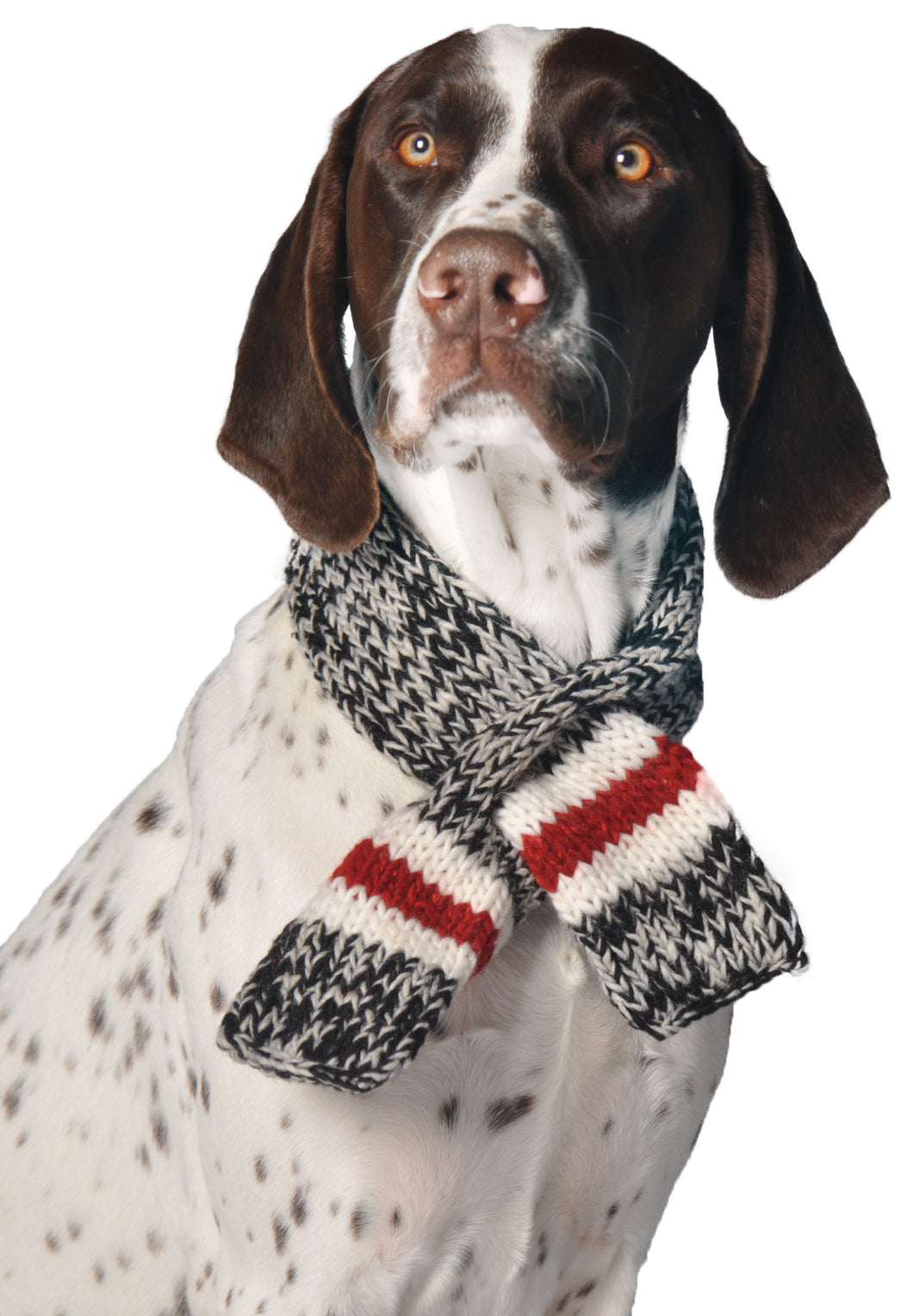 Chilly Dog Sweaters - Boyfriend Scarf