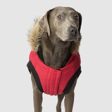 Load image into Gallery viewer, North Pole Parka by Canada Pooch - Red
