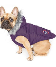 Load image into Gallery viewer, Everest Explorer Jacket by Canada Pooch - Eggplant

