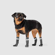 Load image into Gallery viewer, Secure Sock Boots by Canada Pooch
