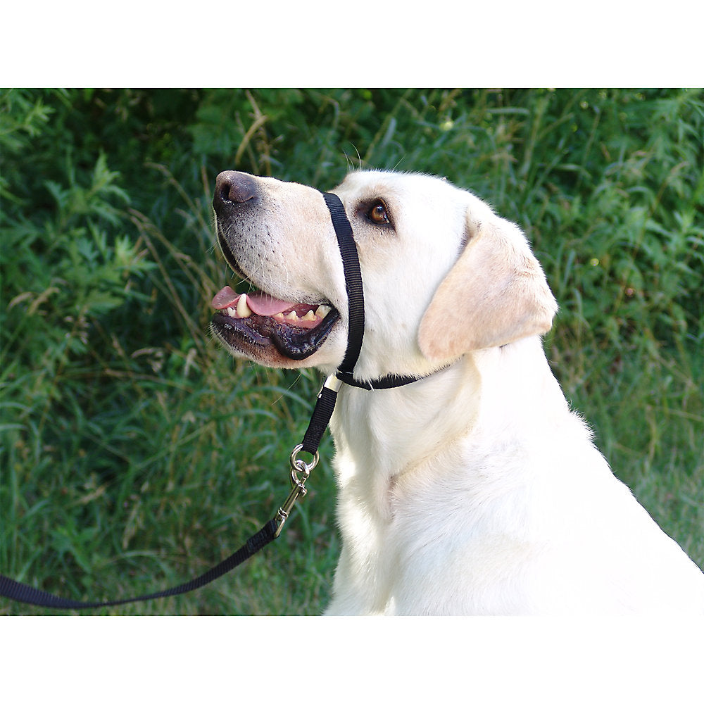 Gentle Leader® Dog Headcollar