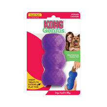 Load image into Gallery viewer, Kong Genius – Mike - PINK
