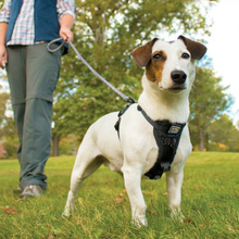 Load image into Gallery viewer, Tru-Fit Smart Dog Walking Harness by Kurgo
