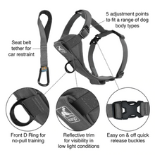 Load image into Gallery viewer, Tru-Fit Smart Dog Walking Harness by Kurgo
