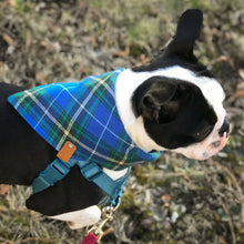 Load image into Gallery viewer, Blue Plaid Bandana by Puppy Riot
