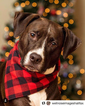 Load image into Gallery viewer, Red &amp; Black Plaid Bandana by Puppy Riot
