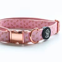 Moon Child Collection: Pink Zodiac Comfort Dog Collar