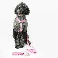 Load image into Gallery viewer, StarBARKS &amp; Sprinkles Dog Harness
