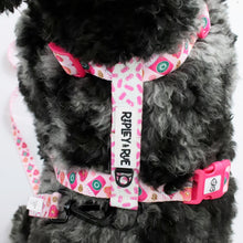 Load image into Gallery viewer, StarBARKS &amp; Sprinkles Dog Harness
