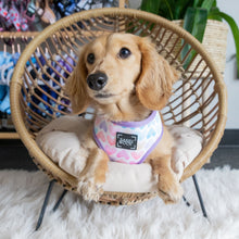 Load image into Gallery viewer, Love Actually&#39; Reversible Dog Harness by Sassy Woof
