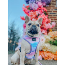 Load image into Gallery viewer, Love Actually&#39; Reversible Dog Harness by Sassy Woof
