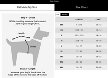 Load image into Gallery viewer, Big Dog Jacket by Silver Paw
