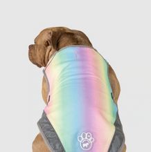 Load image into Gallery viewer, Chill Seeker Cooling Vest
