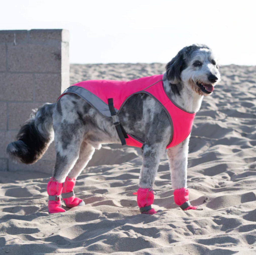 thumbnail image 2 of KOESON Dog Shoes For Hot Pavement, Summer Heat Resistant Dog Boot For 2 of 14