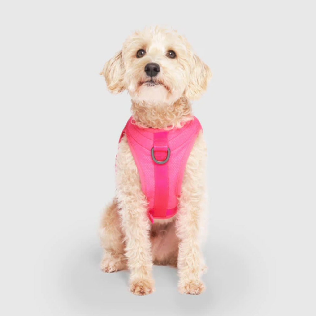 Chill Seeker Cooling Harness