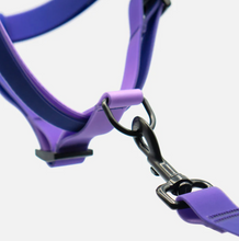 Load image into Gallery viewer, EMPRESS Step-In Waterproof Harness
