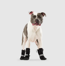 Load image into Gallery viewer, Soft Shield Boots - Black Reflective - by Canada Pooch
