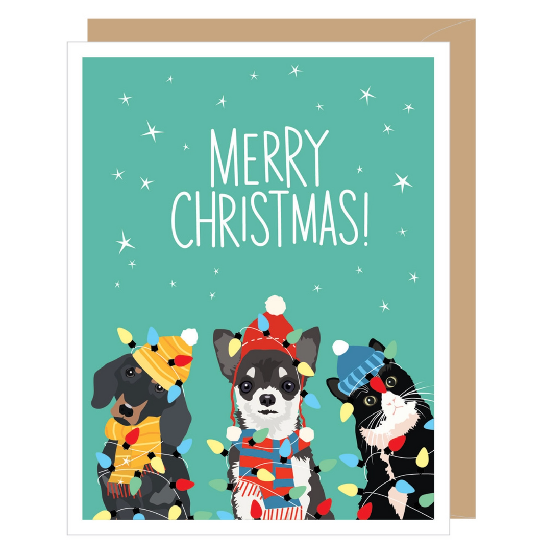 Holiday Pets with Christmas Lights Boxed Set of Christmas Cards