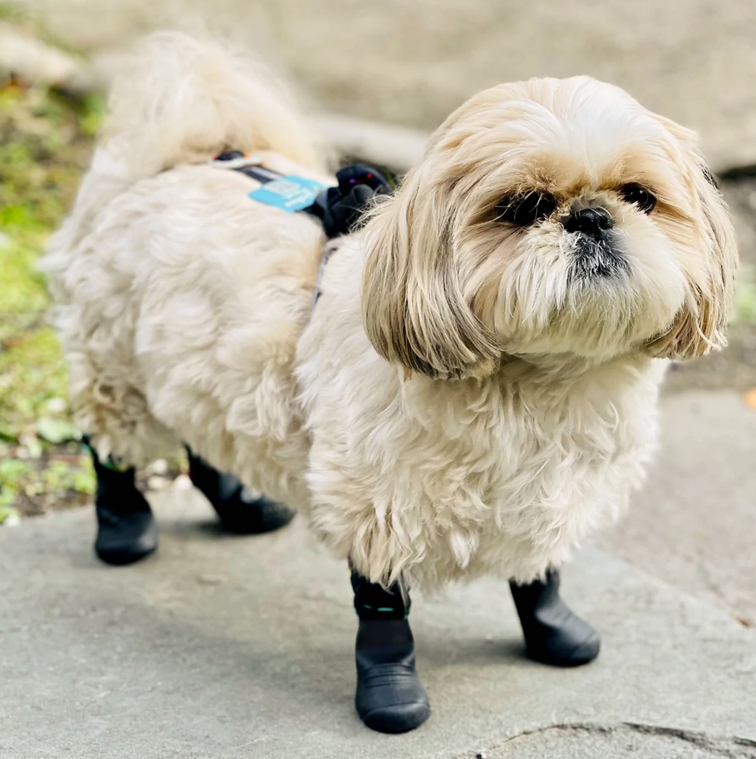 Walkee Paws New Deluxe Easy-On Stay-On Dog Boot Leggings, Seen on Shark  Tank, Dog Snowboots for Winter, Rain, Wet & Snow, Chemicals, Never Lose a  Boot
