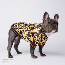 Load image into Gallery viewer, Black &amp; Gold Brocade Dog Bomber Jacket by Spark Paws
